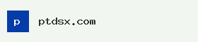 ptdsx.com